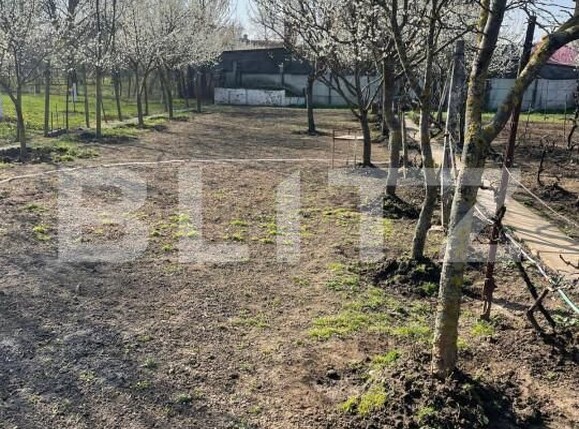 Teren de vânzare Sânandrei - 146019TV | BLITZ Timișoara | Poza2