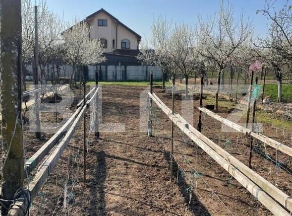 Teren de vânzare Sânandrei - 146019TV | BLITZ Timișoara | Poza3