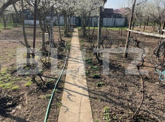 Teren de vânzare Sânandrei - 146019TV | BLITZ Timișoara | Poza1