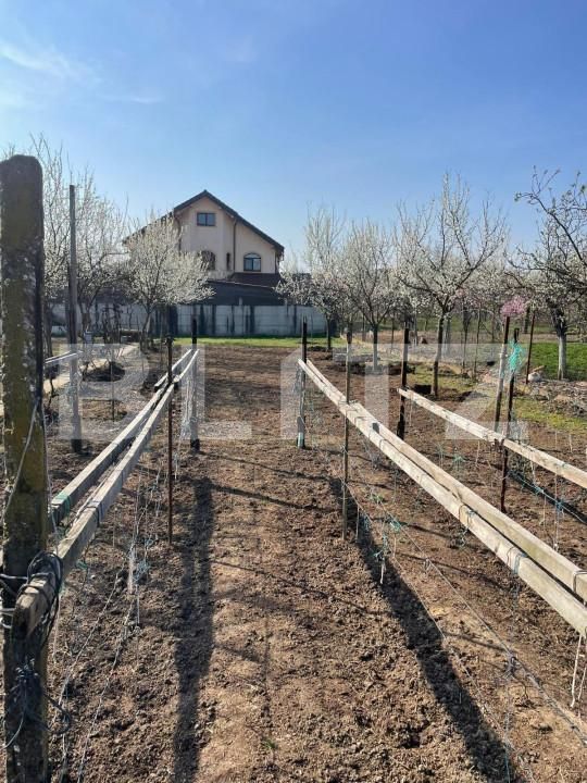 Teren de vânzare Sânandrei - 146019TV | BLITZ Timișoara | Poza3