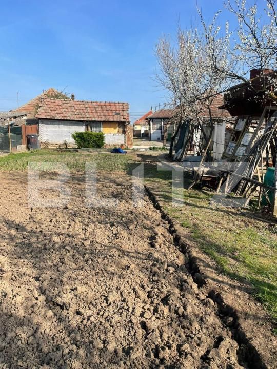 Teren de vânzare Sânandrei - 146019TV | BLITZ Timișoara | Poza5