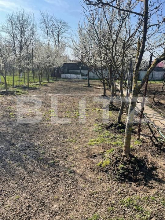 Teren de vânzare Sânandrei - 146019TV | BLITZ Timișoara | Poza2