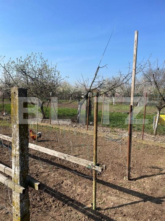 Teren de vânzare Sânandrei - 146019TV | BLITZ Timișoara | Poza4