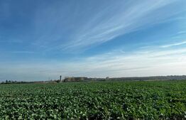 Teren intravilan de vanzare,678 mp, Dumbravita