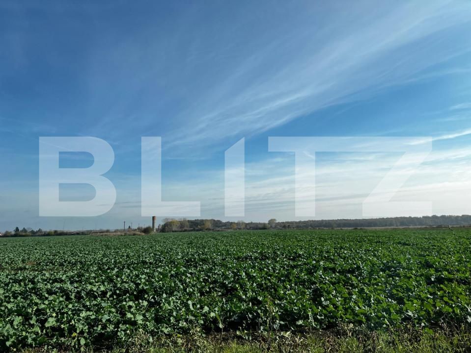 Teren de vânzare Dumbravita - 146021TV | BLITZ Timișoara | Poza1