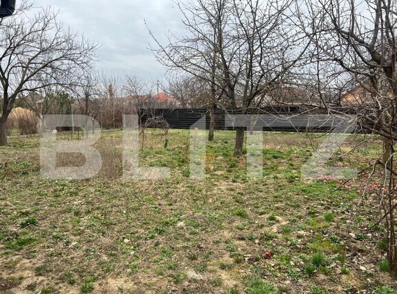 Casa de vânzare 3 camere Chisoda - 148844CV | BLITZ Timișoara | Poza11