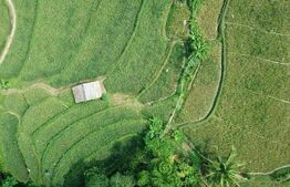 Exclusivitate, Teren Pischia 1,4 hectare