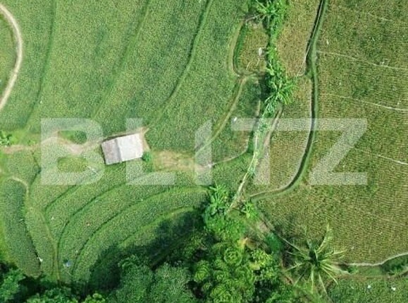 Teren de vânzare Pischia - 148846TV | BLITZ Timișoara | Poza1