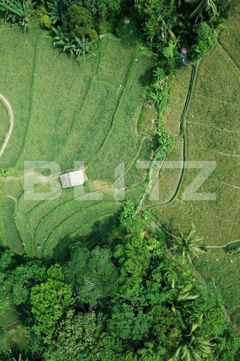 Teren de vânzare Pischia - 148846TV | BLITZ Timișoara | Poza1