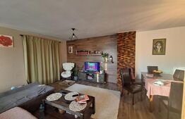 Oportunitate! Duplex 4 camere, 116 mp utili + 312 mp teren, Dumbravita