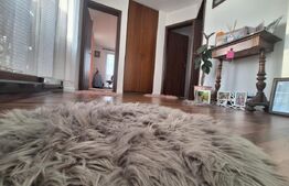 Oportunitate! Duplex 4 camere, 116 mp utili + 312 mp teren, Dumbravita