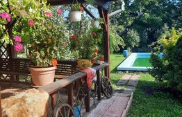 Colt de poveste, 1600 mp, piscina, semineu, centru Giarmata