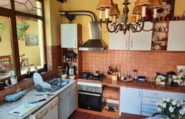 Colt de poveste, 1600 mp, piscina, semineu, centru Giarmata