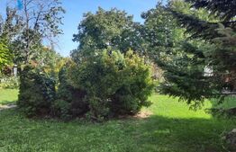 Colt de poveste, 1600 mp, piscina, semineu, centru Giarmata