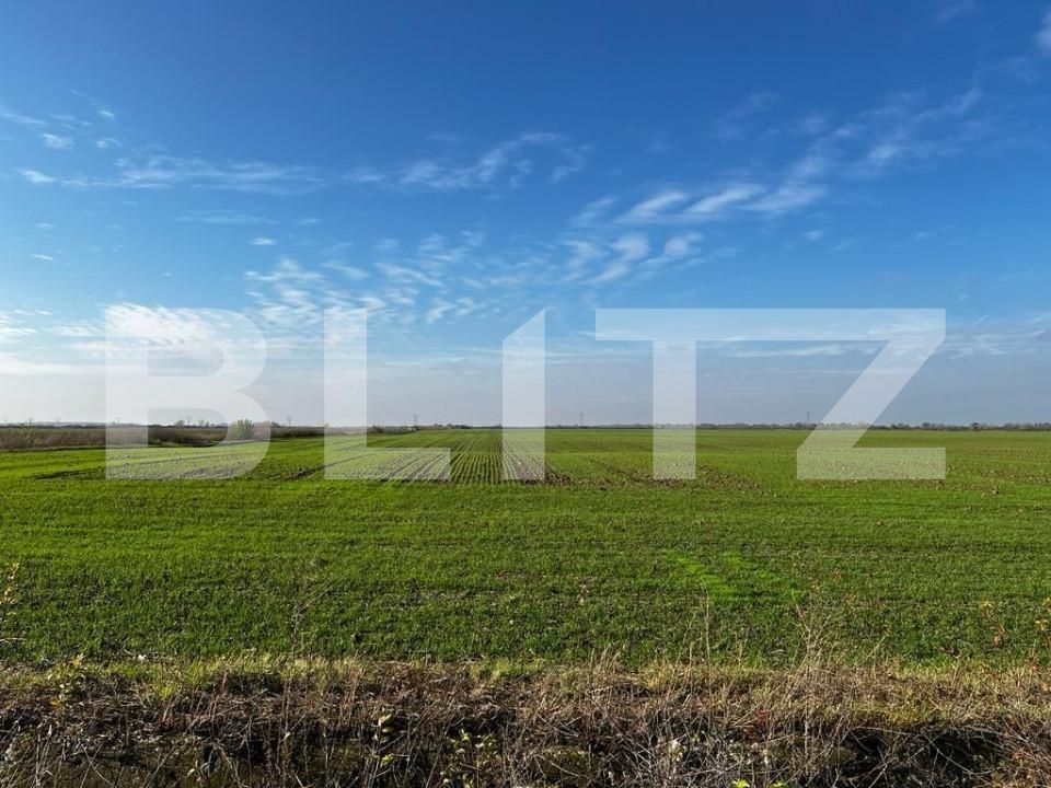 Teren de vânzare Rudicica - 148860TV | BLITZ Timișoara | Poza1