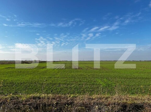 Teren de vânzare Rudicica - 148861TV | BLITZ Timișoara | Poza1