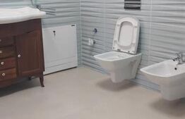 Vila 5 camere, 250 mp, cu depozit, garaj, birouri, Moșnița Noua