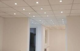 Vila 5 camere, 250 mp, cu depozit, garaj, birouri, Moșnița Noua