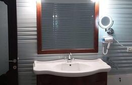 Vila 5 camere, 250 mp, cu depozit, garaj, birouri, Moșnița Noua