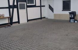 Vila 5 camere, 250 mp, cu depozit, garaj, birouri, Moșnița Noua