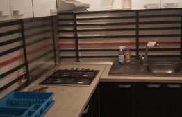 Vila 5 camere, 250 mp, cu depozit, garaj, birouri, Moșnița Noua