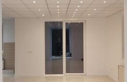 Vila 5 camere, 250 mp, cu depozit, garaj, birouri, Moșnița Noua