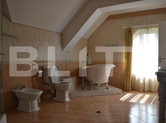 Casa de vânzare 6 camere Dumbravita - 148875CV | BLITZ Timișoara | Poza7