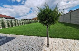 Casa 5 camere, teren 1000 mp, 177 mp Dumbravita