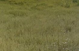 Teren, 521mp, cartier nou, aproape de canalul Bega, Ghiroda