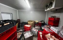 Teren cu afacere, 3100 mp, fabrica procesare carne, Recas