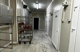 Teren cu afacere, 3100 mp, fabrica procesare carne, Recas