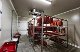 Teren cu afacere, 3100 mp, fabrica procesare carne, Recas