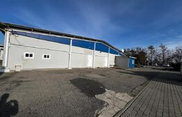 Teren cu afacere, 3100 mp, fabrica procesare carne, Recas