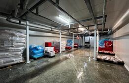 Teren cu afacere, 3100 mp, fabrica procesare carne, Recas