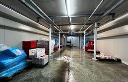 Teren cu afacere, 3100 mp, fabrica procesare carne, Recas