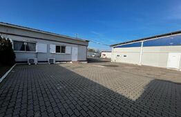 Teren cu afacere, 3100 mp, fabrica procesare carne, Recas