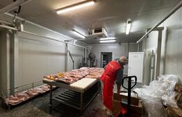 Teren cu afacere, 3100 mp, fabrica procesare carne, Recas