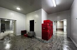 Teren cu afacere, 3100 mp, fabrica procesare carne, Recas