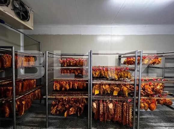 Teren de vânzare Recas - 148883TV | BLITZ Timișoara | Poza14