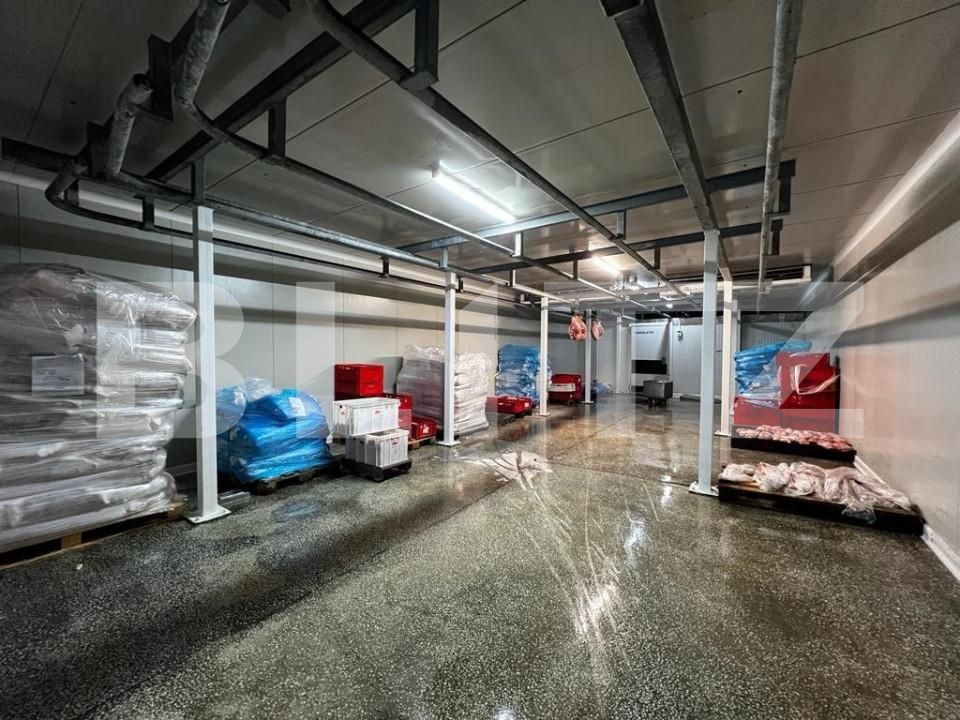 Teren de vânzare Recas - 148883TV | BLITZ Timișoara | Poza8