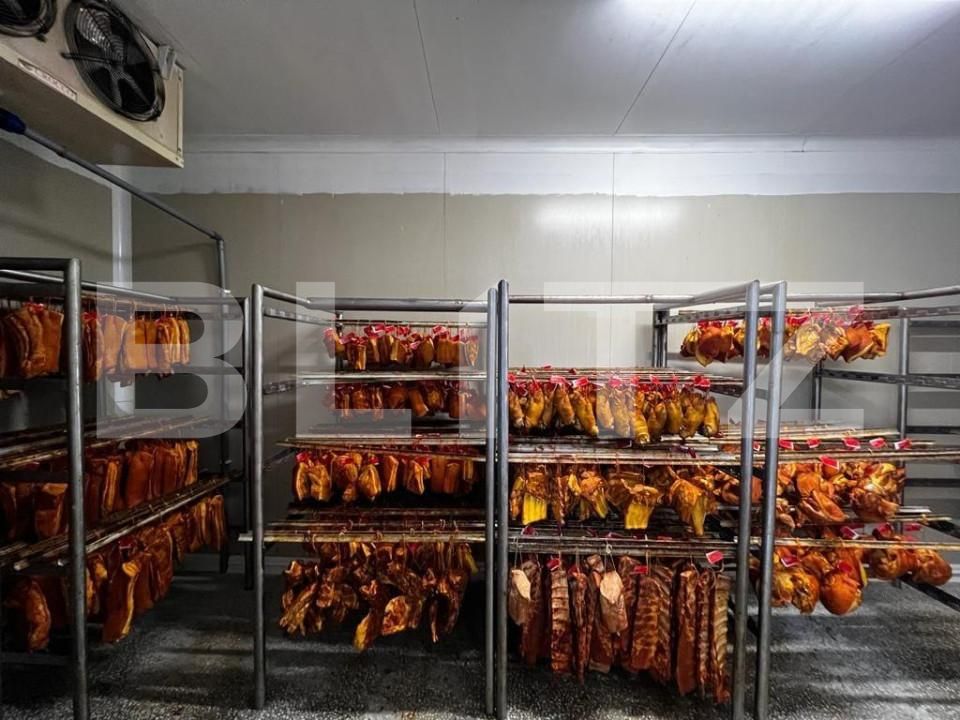 Teren de vânzare Recas - 148883TV | BLITZ Timișoara | Poza14