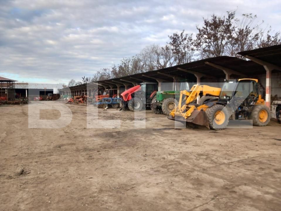 Spațiu industrial de vânzare Recas - 148885SVI | BLITZ Timișoara | Poza10