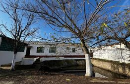 Ocazie, ferma agricola, 598 HA teren, masini agricole, spatii depozitare, Recas