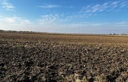 Ocazie, ferma agricola, 598 HA teren, masini agricole, spatii depozitare, Recas