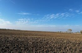 Ocazie, ferma agricola, 598 HA teren, masini agricole, spatii depozitare, Recas