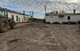 Ocazie, ferma agricola, 598 HA teren, masini agricole, spatii depozitare, Recas