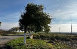 Ocazie, ferma agricola, 598 HA teren, masini agricole, spatii depozitare, Recas