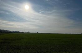 Ocazie, ferma agricola, 598 HA teren, masini agricole, spatii depozitare, Recas