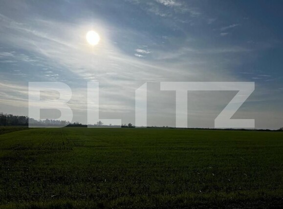 Teren de vânzare Recas - 148893TV | BLITZ Timișoara | Poza16