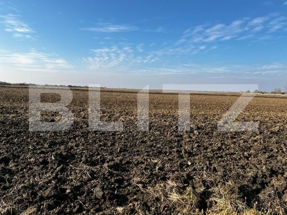 Teren de vânzare Recas - 148893TV | BLITZ Timișoara | Poza18